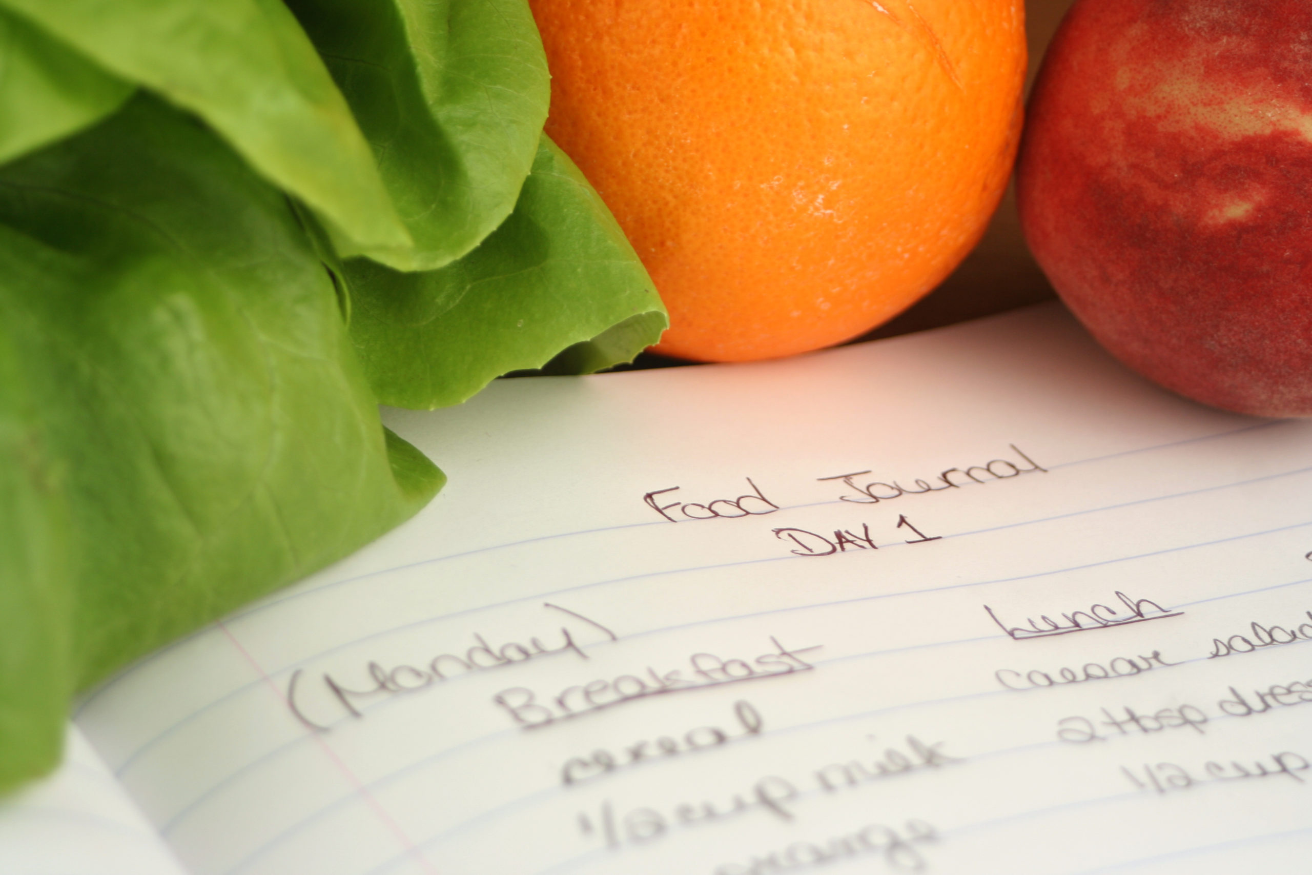 Food Journal for Gastric Surgery Preparation